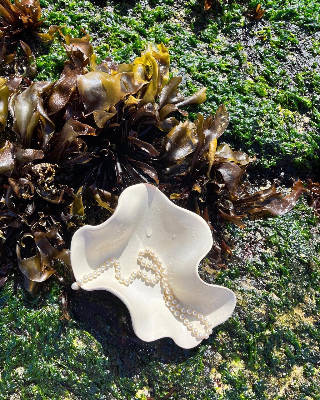Joyero de Mar